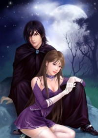 閃來的暖婚